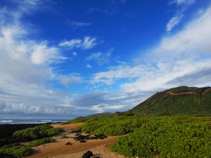 Sandy beach serenity